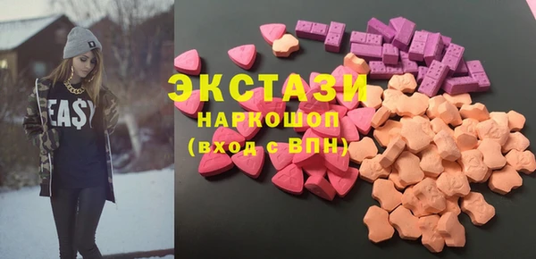 ECSTASY Богданович