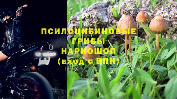а пвп мука Белокуриха