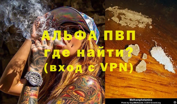 спиды Богородицк